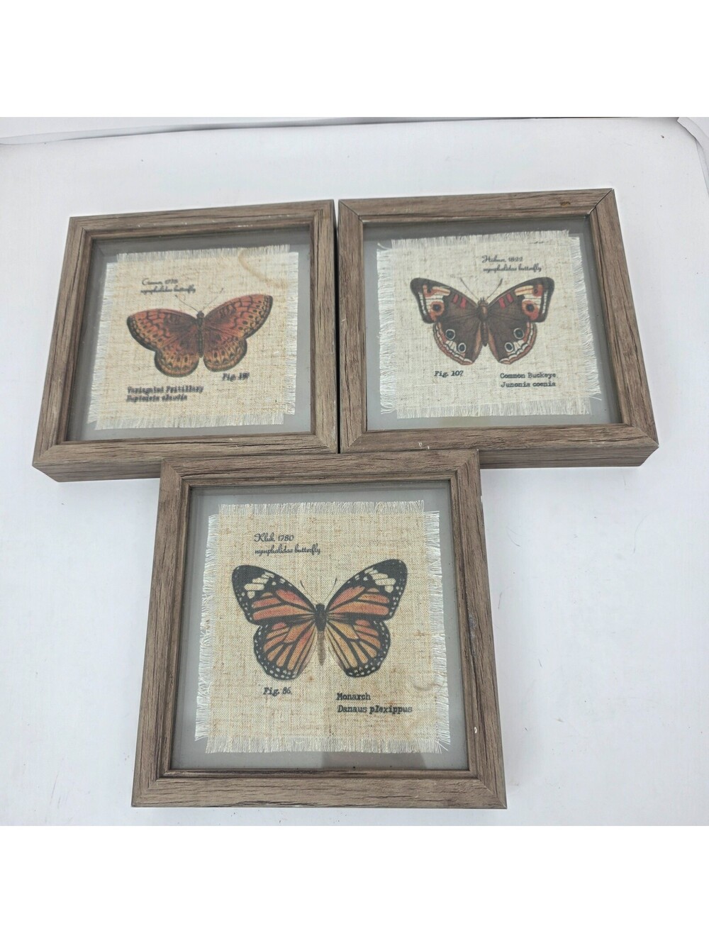 Butterfly Wall Decor Wood Farme 3 Pack Set Monarch Buckeye Fritillary Art 7'x7''